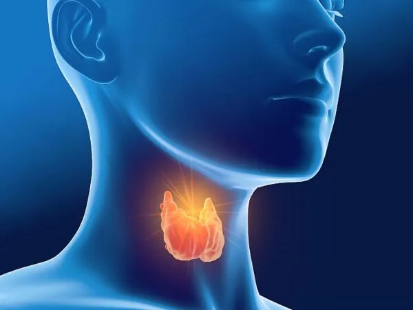 Thyroid Profile